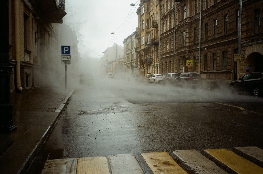 Photograph by Aleksandra Gribowskaya