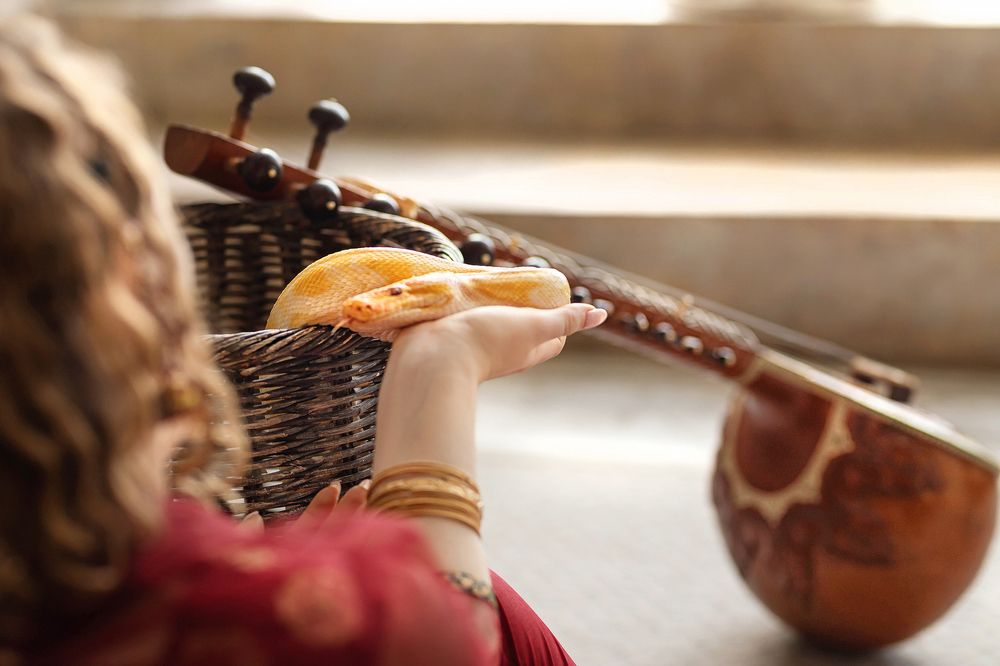 Фотография автора Наталья Копылова