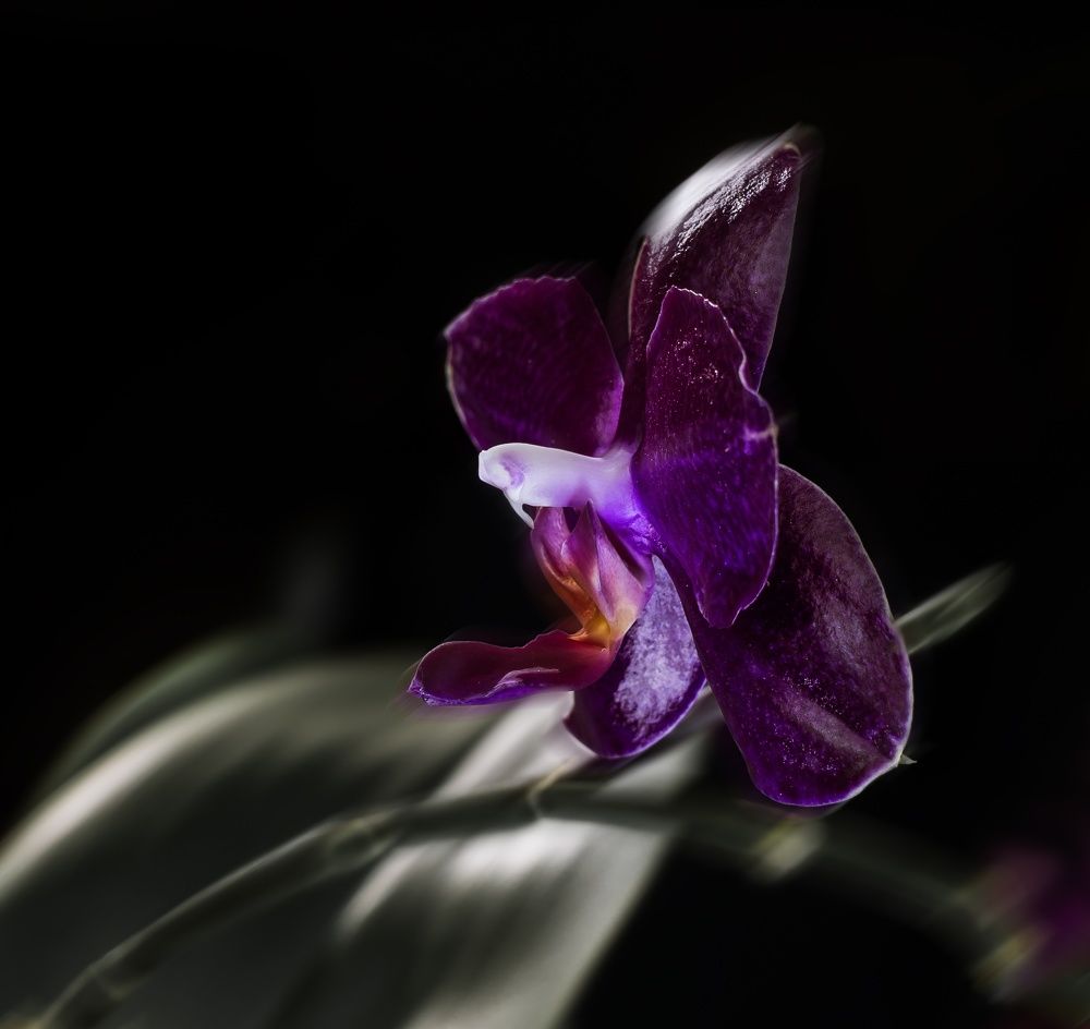 Фотография автора Валентин Черновол