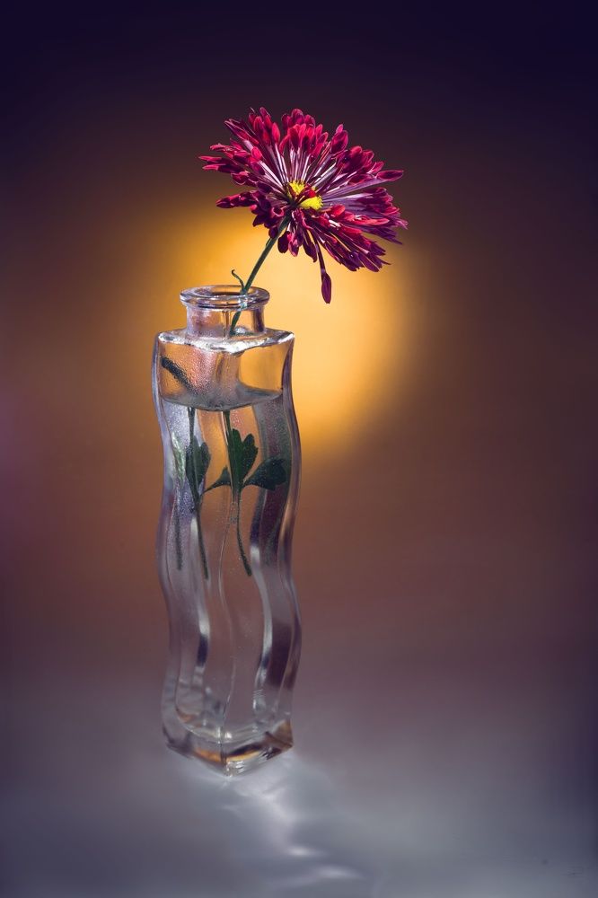 Фотография автора Валентин Черновол