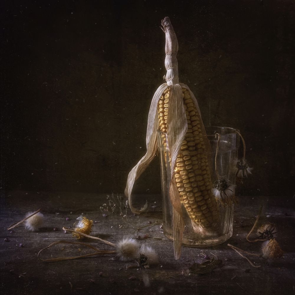 Тётушка кукуруза