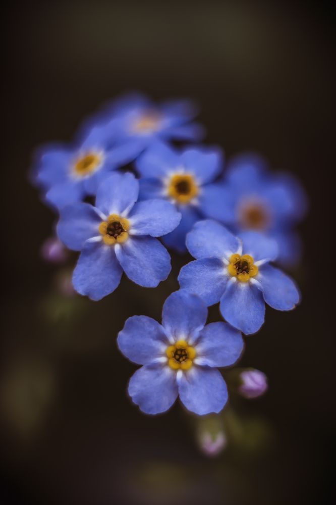 Photograph by Анна Фрезе