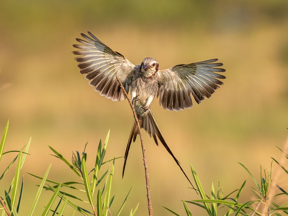 Photograph by Eduardo Di Fiore