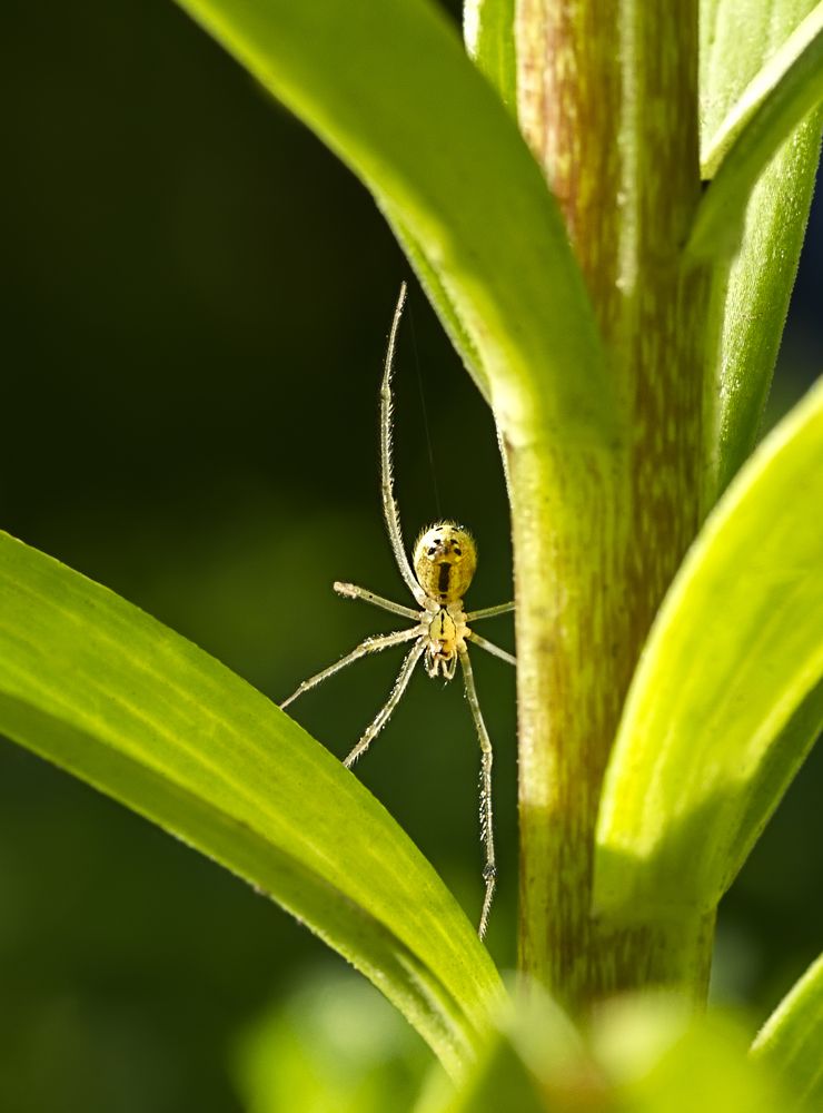 Photograph by Ирина Пикина