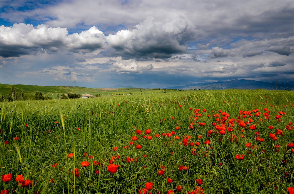 Photograph by Рузаев Дмитрий