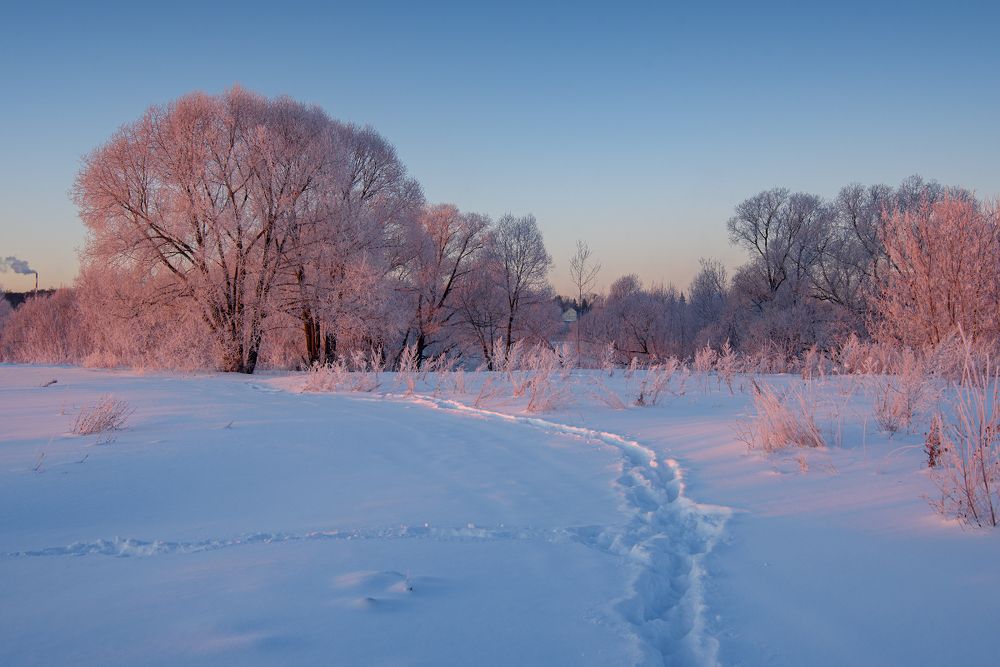 Photograph by Александр Овсенёв