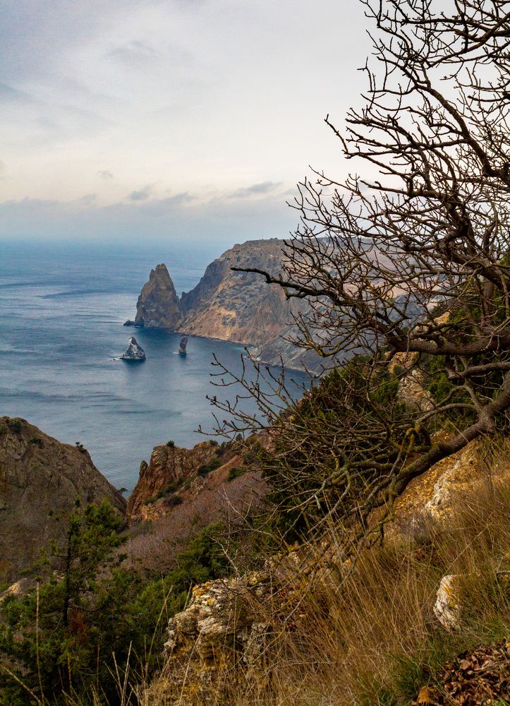 Photograph by Ирина Крепак