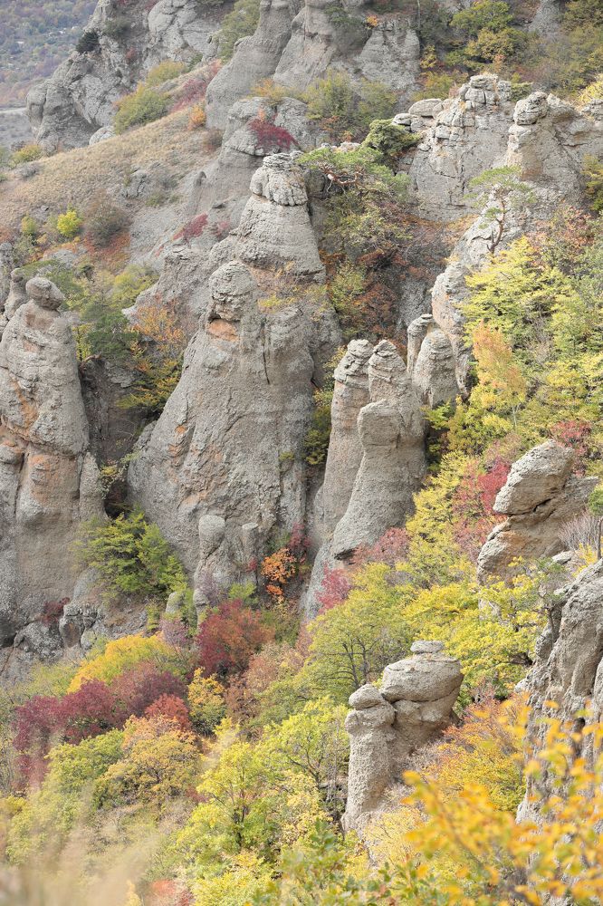 Фотография автора Алексей Попов