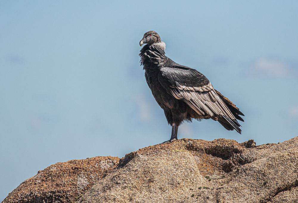 Photograph by Eduardo Di Fiore