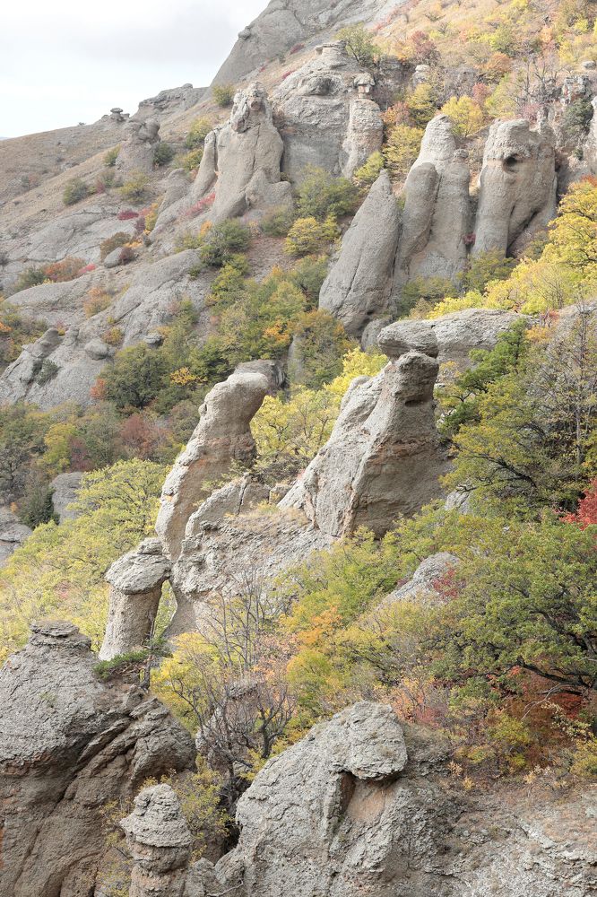 Фотография автора Алексей Попов