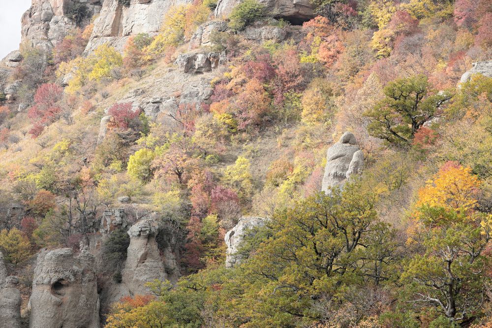 Фотография автора Алексей Попов