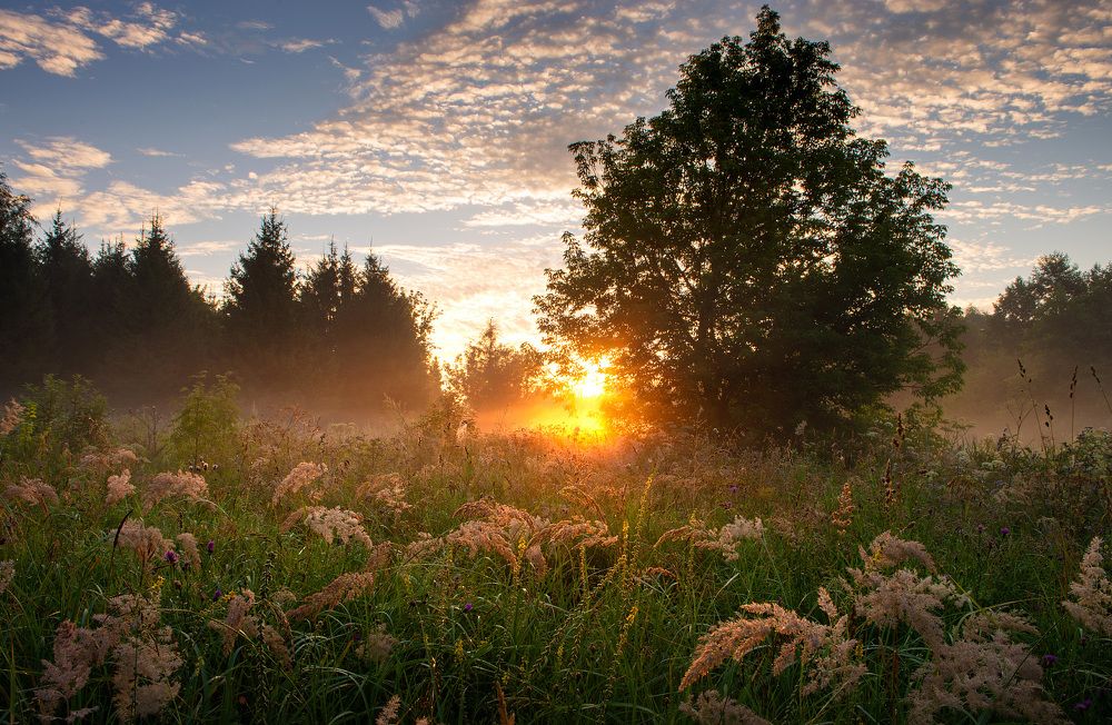 Photograph by Радик Гатауллин