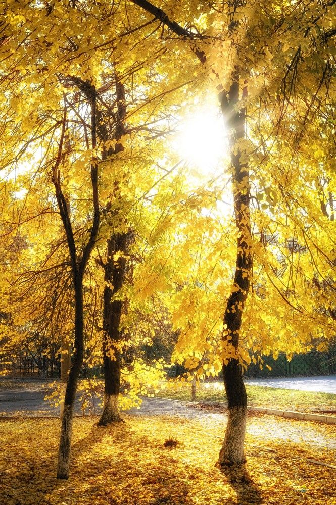 Photograph by Иван Шестак