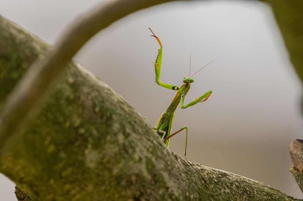 Photograph by Bine Mekina