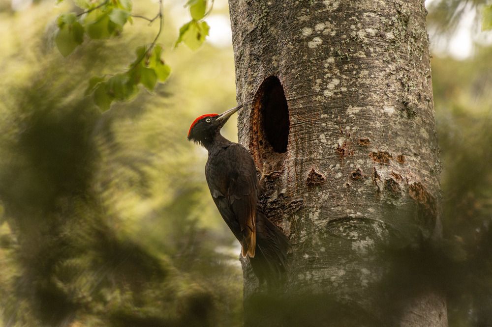 Photograph by Bine Mekina