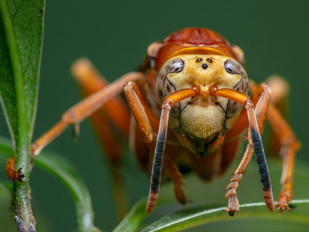 Photograph by Eduardo Di Fiore