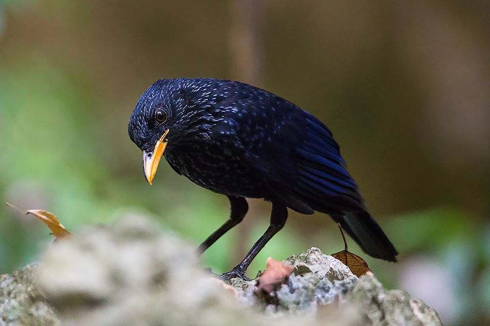 Photograph by Сергей Савви