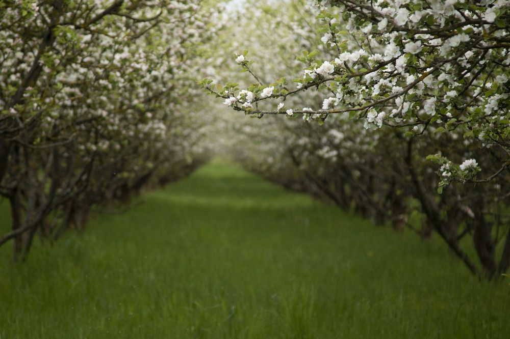 Photograph by Yuliya Haliuzhyna