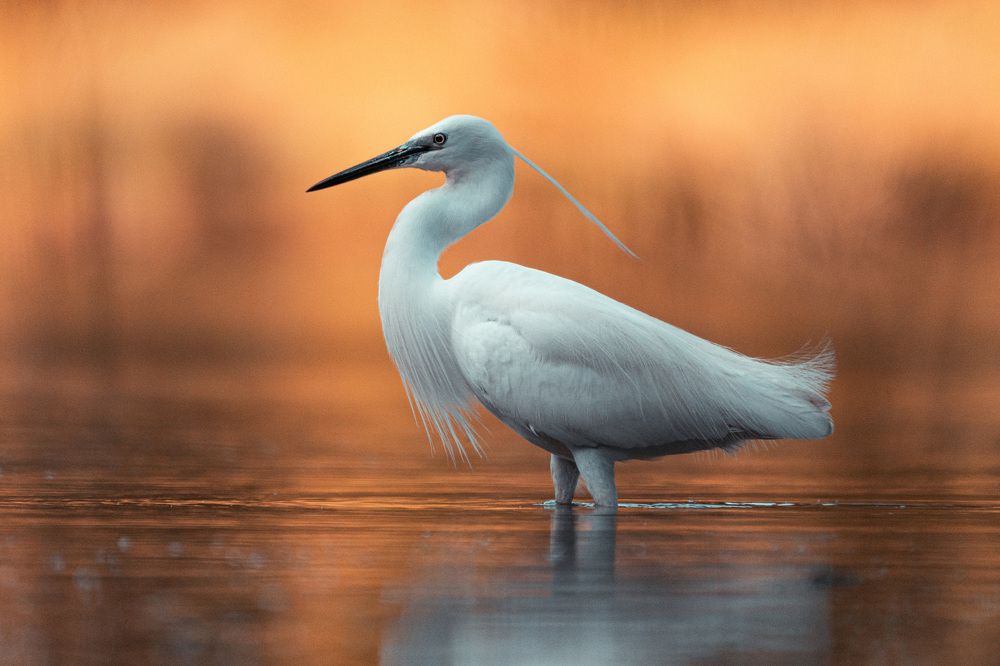 Photograph by Bine Mekina