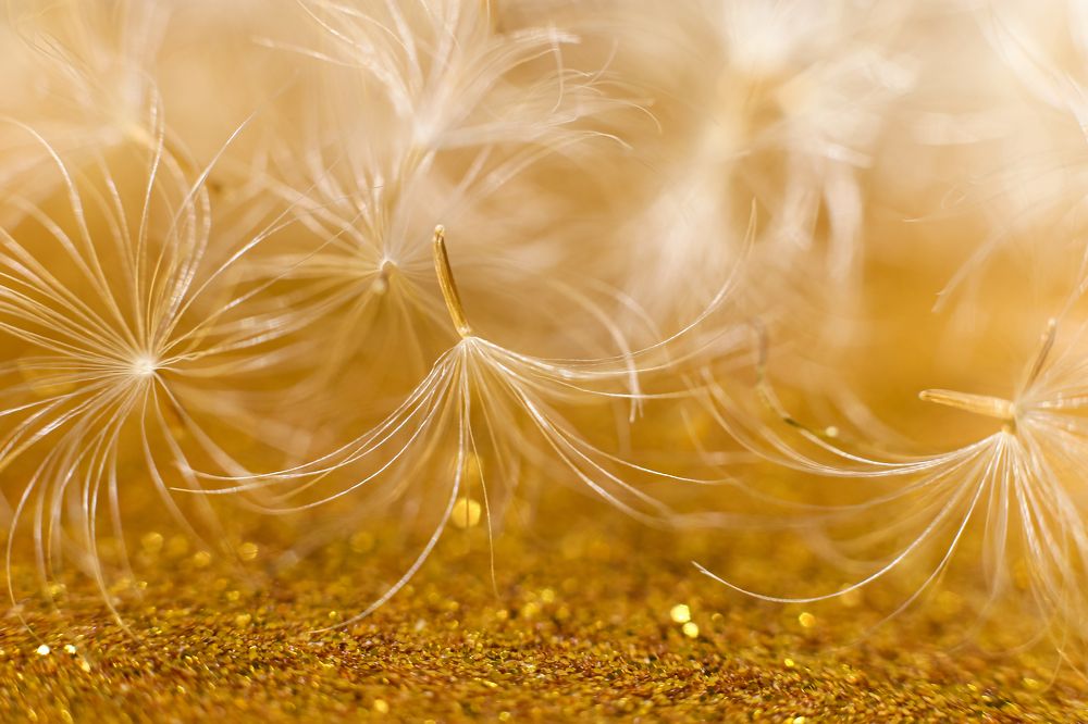 Photograph by Анна Зенкина