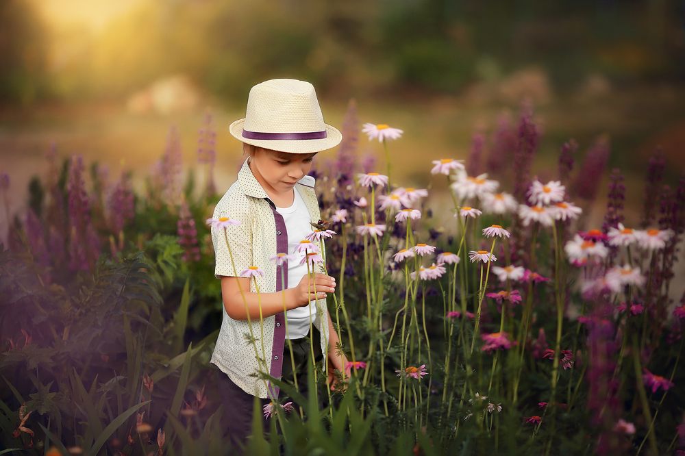 Фотография автора Ольга Котова