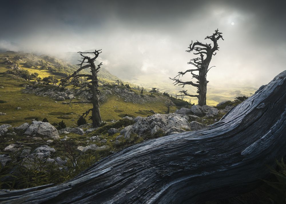 Photograph by Roksolyana Hilevych