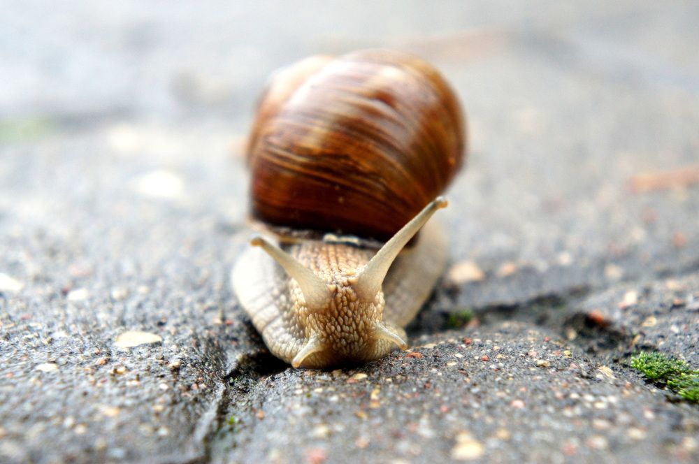 Photograph by Юля Хатыпова