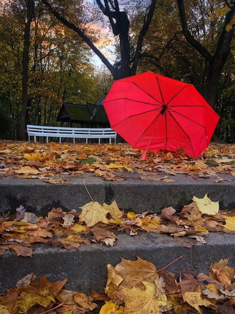 Фотография автора Татьяна Бурлакина