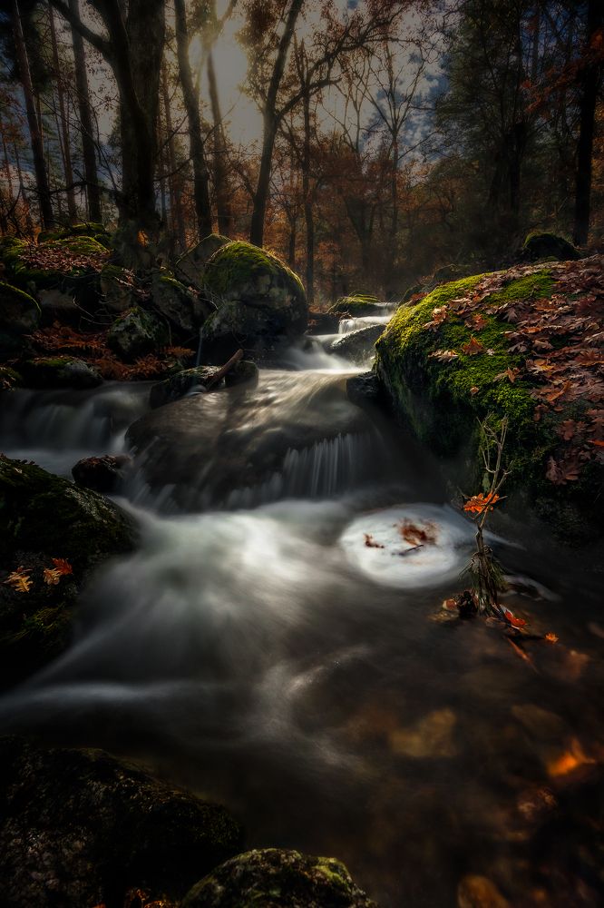 Photograph by Igor Sanchez arribas