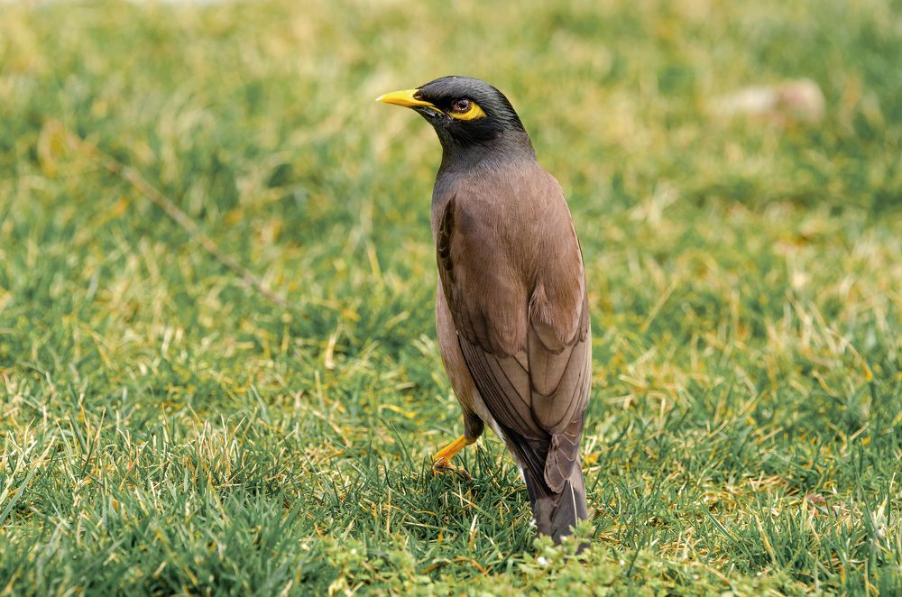 Photograph by Рузаев Дмитрий