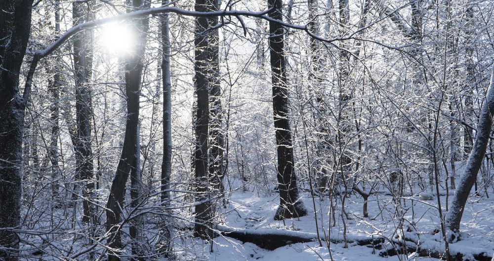 Замок снежной королевы