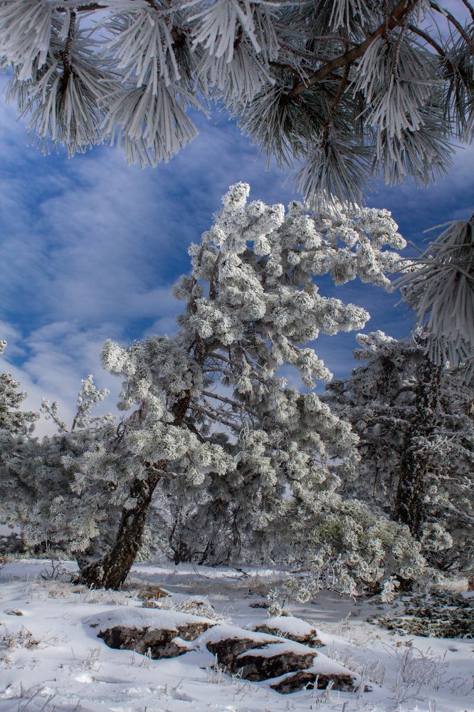 Photograph by Ирина Крепак