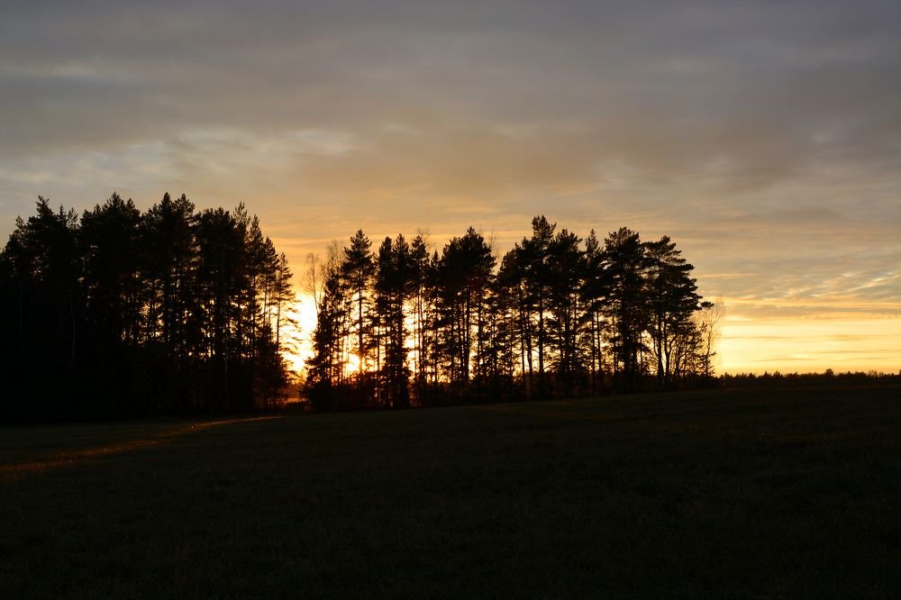 Photograph by Анатолий Орлов