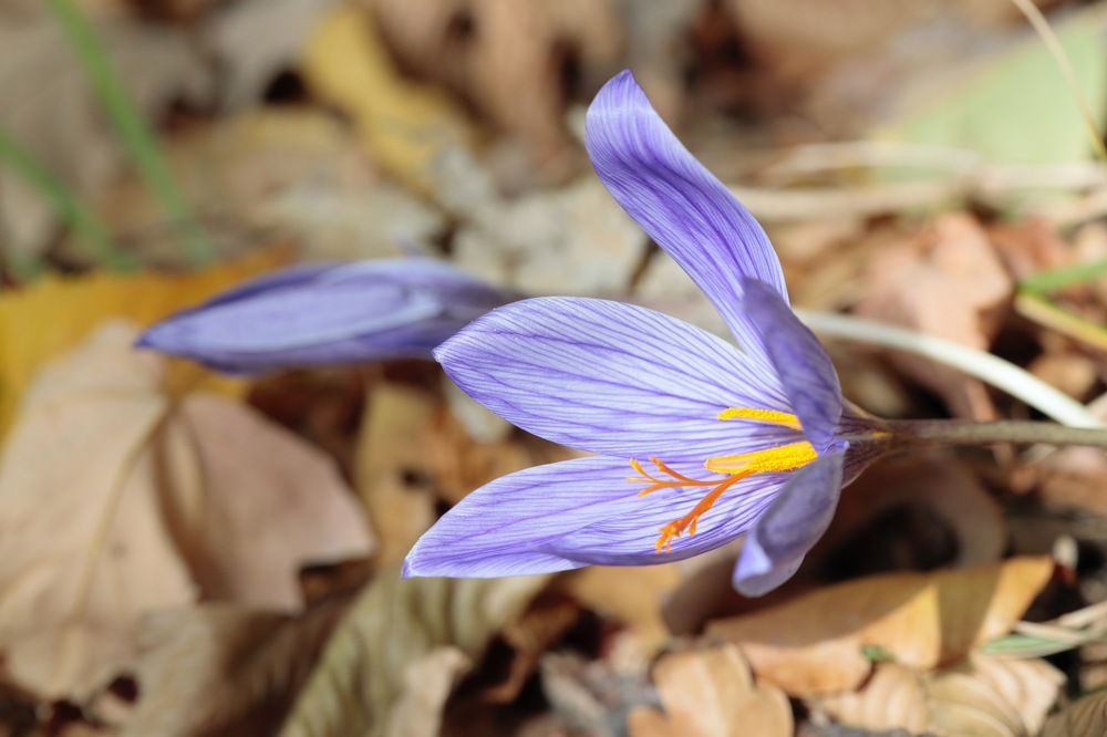 Фотография автора Алексей Попов