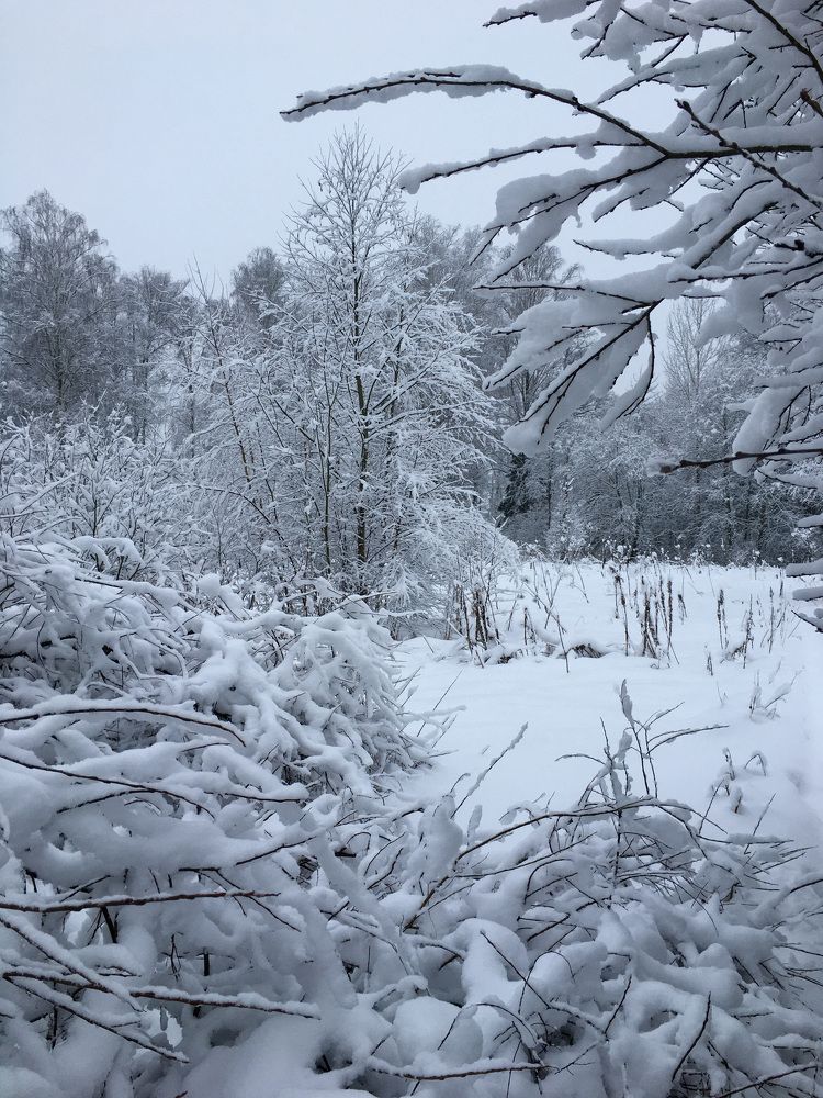 Photograph by Алина Чеснокова