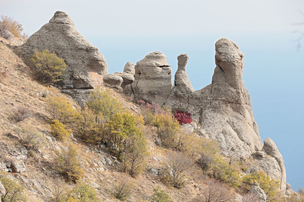 Фотография автора Алексей Попов