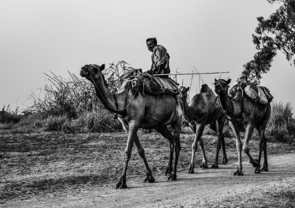 Photograph by Yahya Liaquat