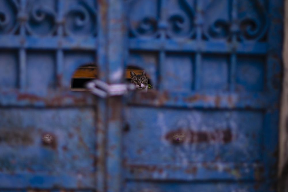 Photograph by Elena Varol