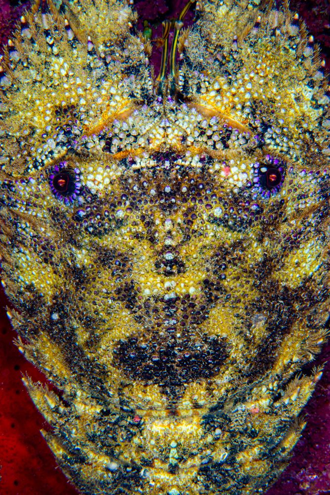 Photograph by Camallonga Emmanuelle