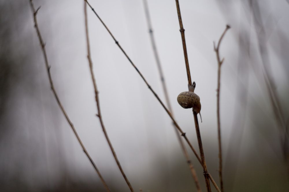 Фотография автора Алиса Чурчудесная
