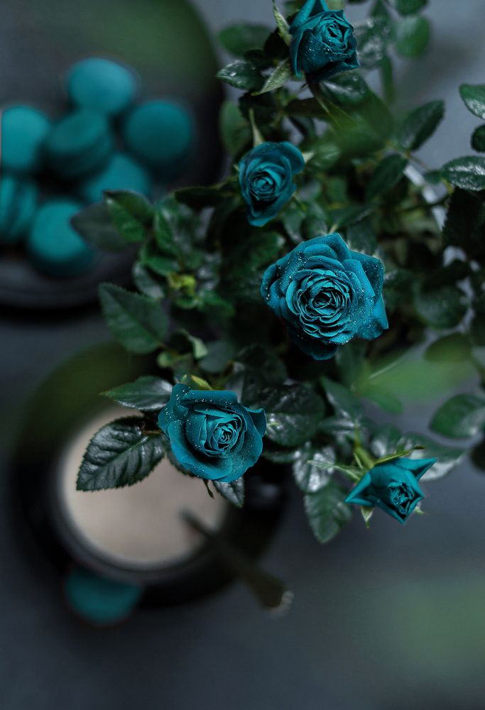 Photograph by Миллена Неро