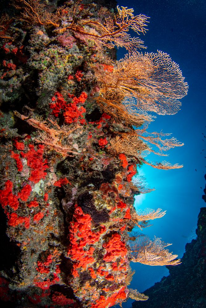 Photograph by Camallonga Emmanuelle