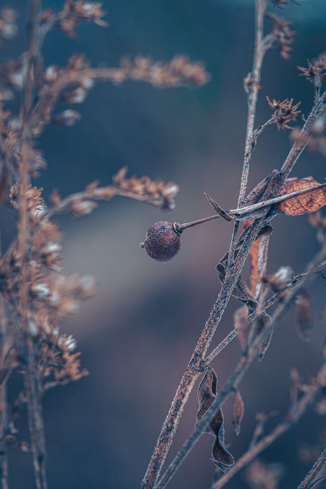 Photograph by Дмитрий Рябцев