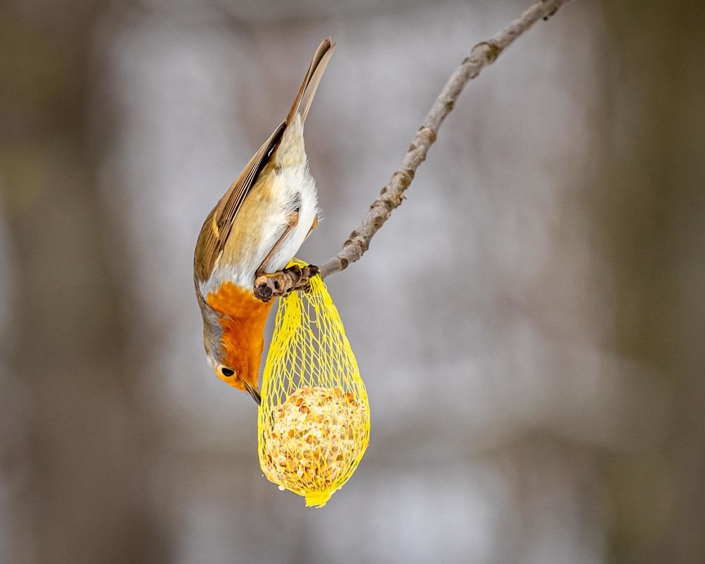 Photograph by Анна Широкова