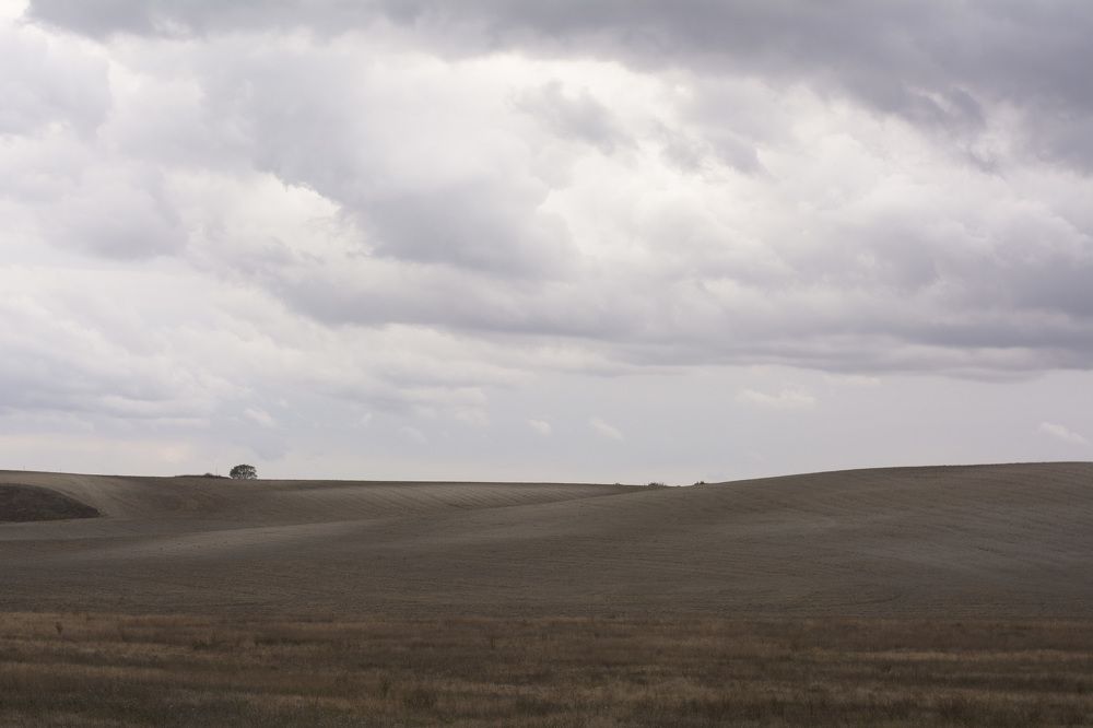 Photograph by Матвей Петров
