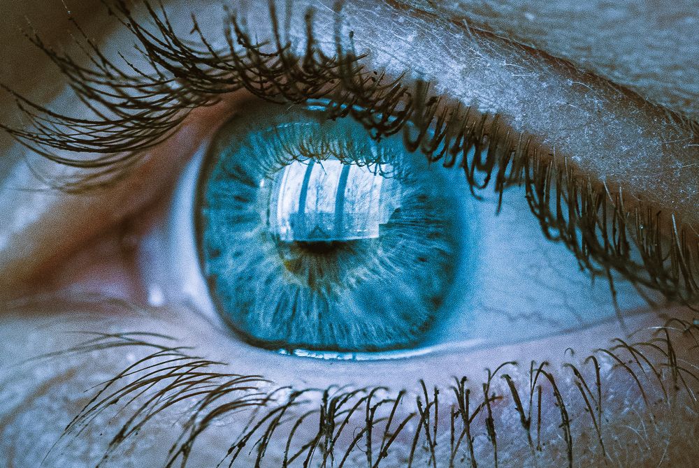 Photograph by Дмитрий Рябцев