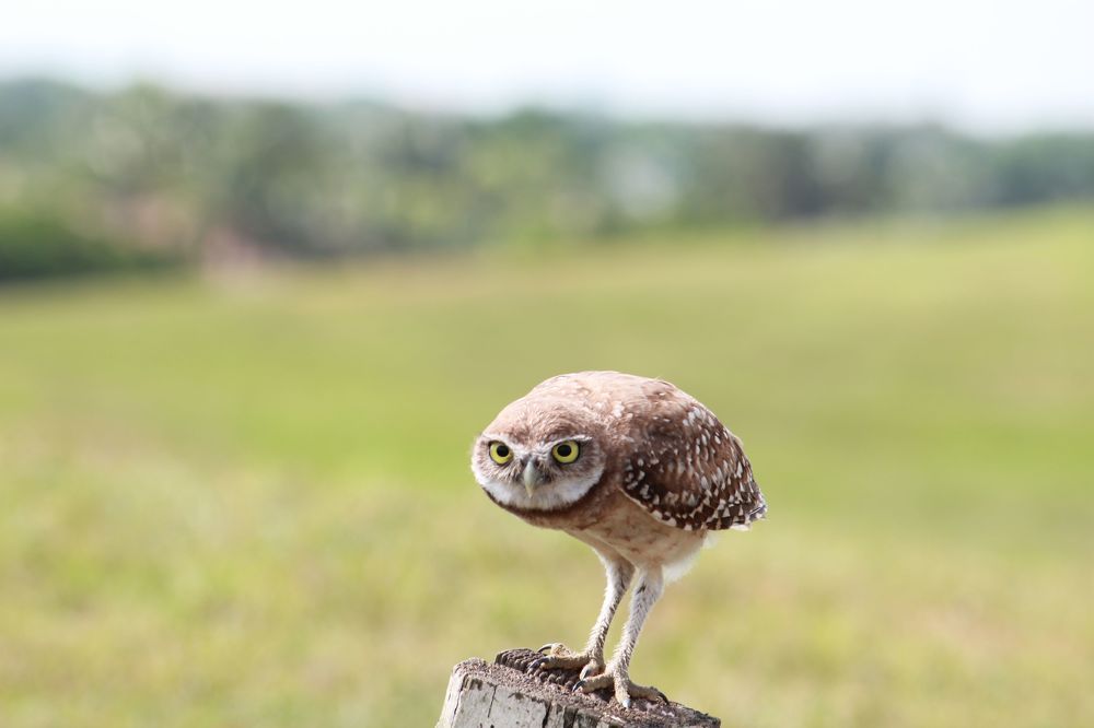 Photograph by Senthil Venugopalan