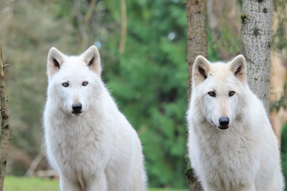 Photograph by Senthil Venugopalan