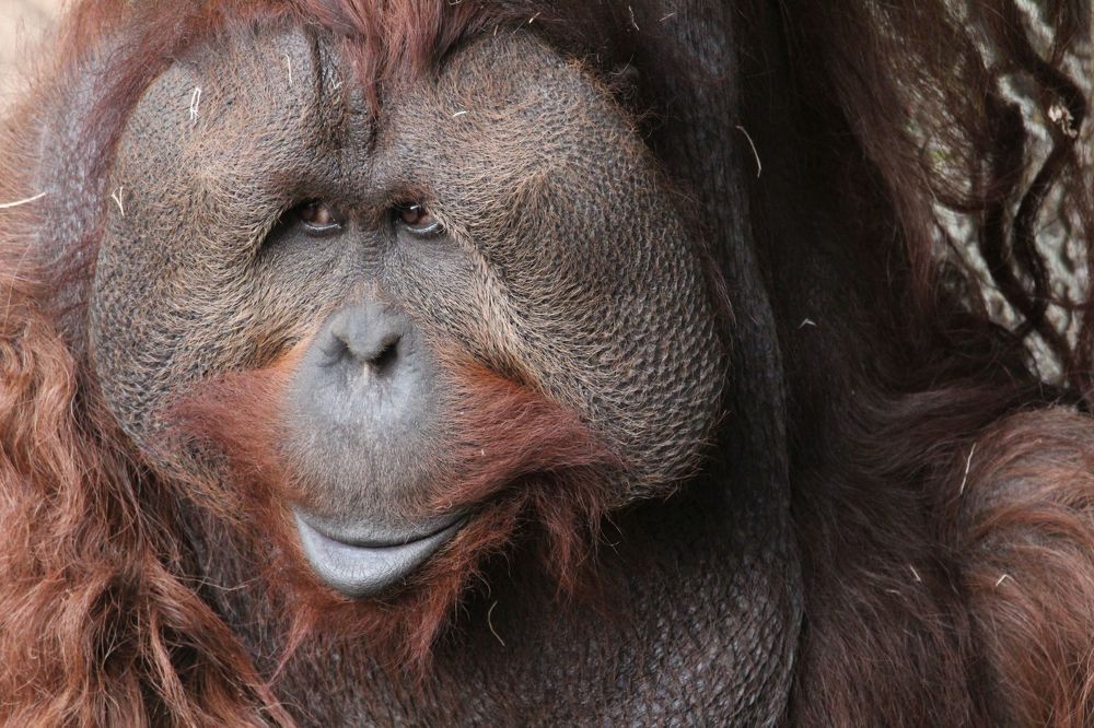 Photograph by Senthil Venugopalan