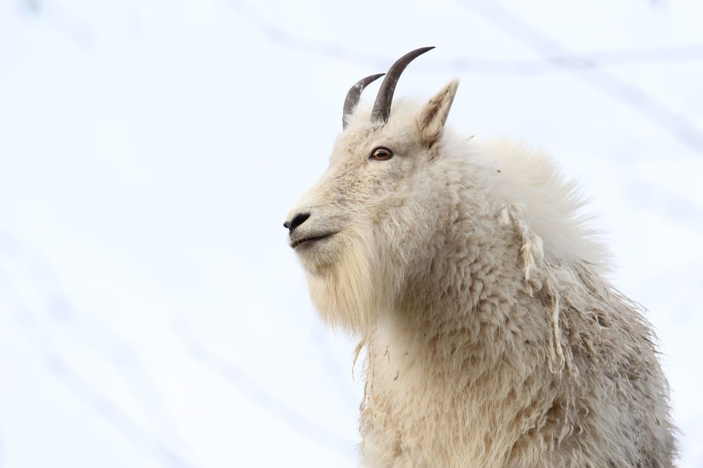 Photograph by Senthil Venugopalan